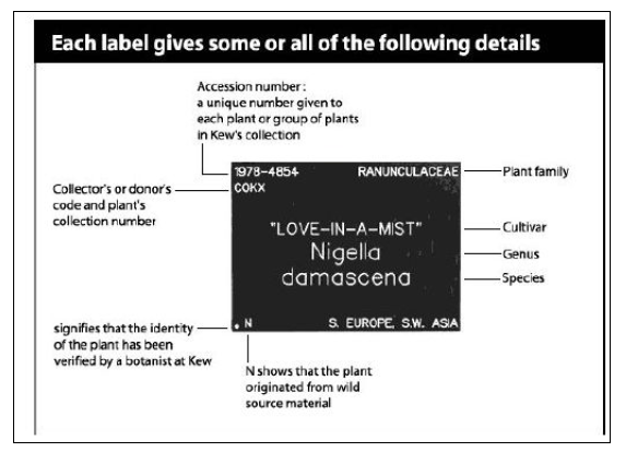 식물 데이터 정리 표본