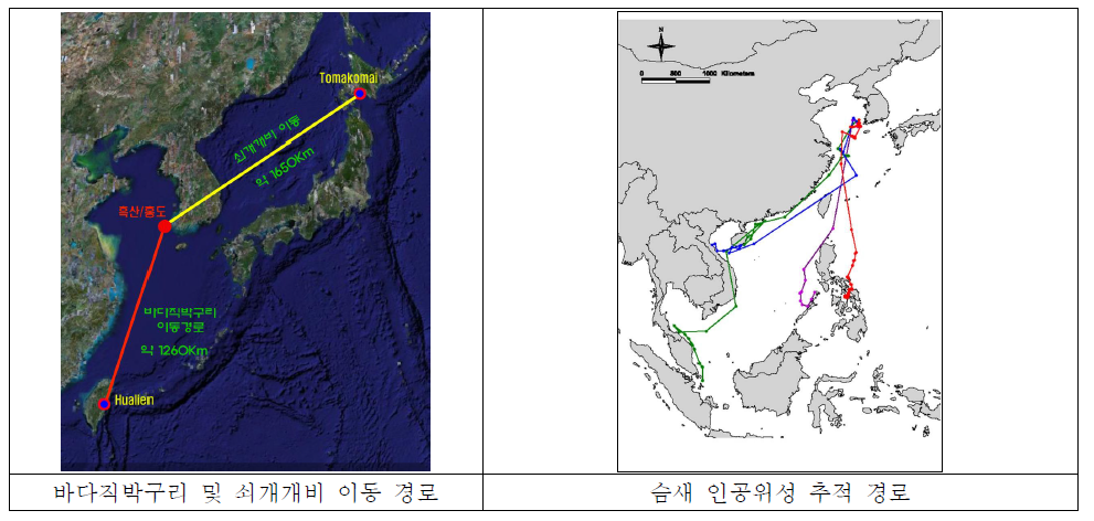 조류의 이동경로