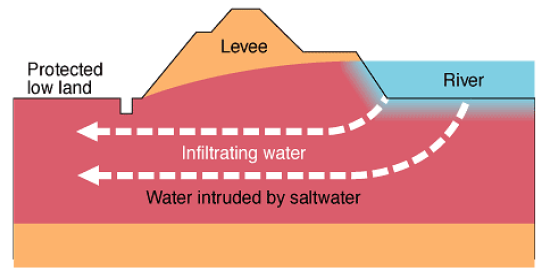 저지대로의 염수 침투