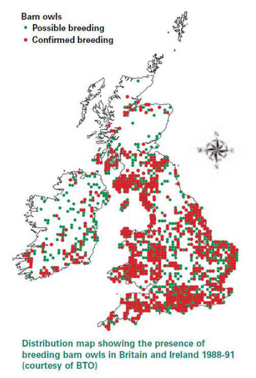 영국과 아일랜드 지역의 가면올빼미 번식지와 잠재 번식지 분포