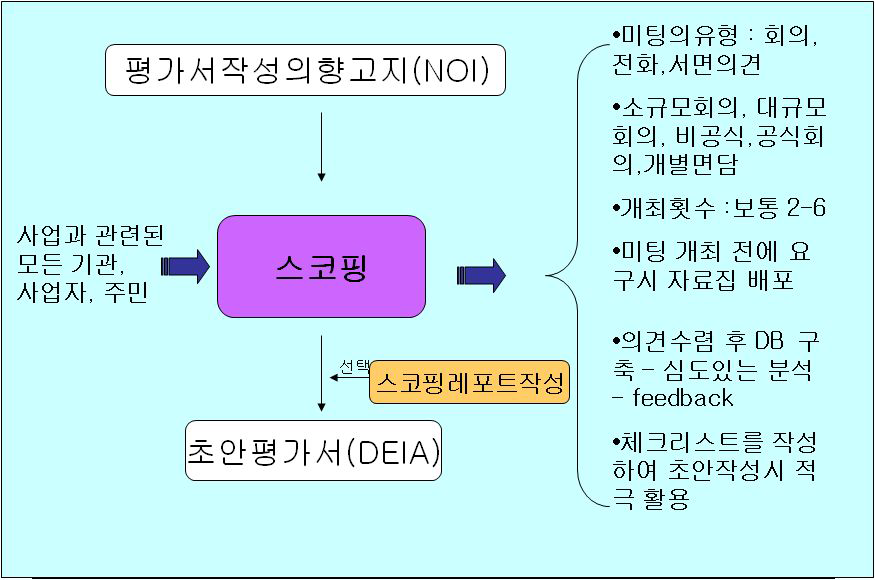 미국의 스코핑 절차