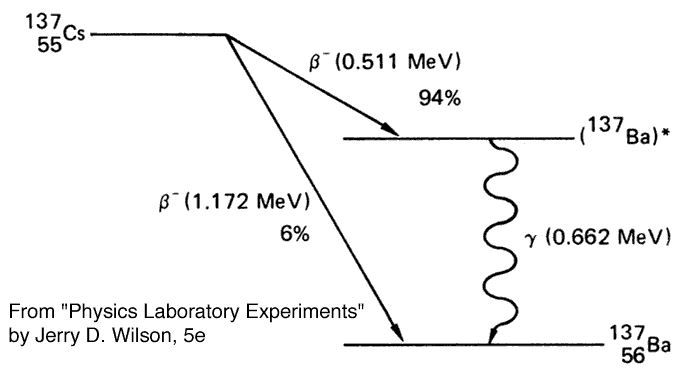 Cs-137 붕괴 scheme. 대부분의 Cs-137은 Ba-137 (excited state)로 붕괴된 후 에너지 662 KeV에서 안정상태 (stabel state)로 감마붕괴 한다