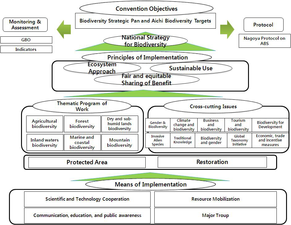 생물다양성협약 내 의제 및 작업프로그램 흐름도