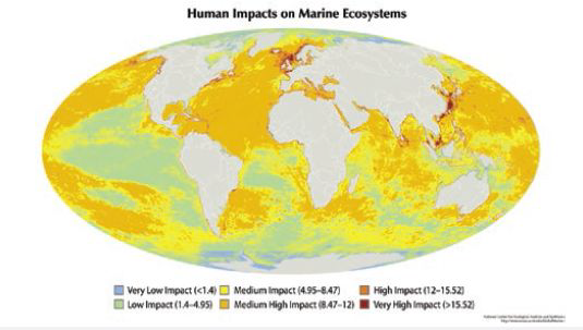 해양 생태계에 미치는 인간 활동의 영향
