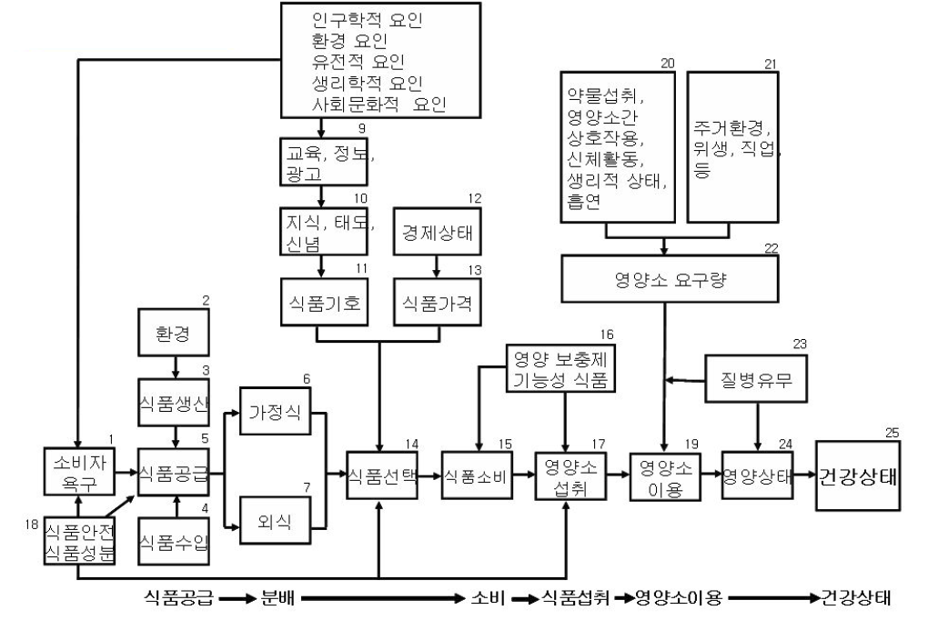 식품영양건강 관련 모델