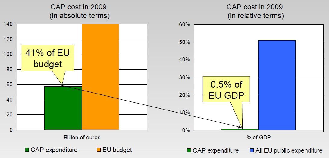 EU CAP비용에 대한 관점