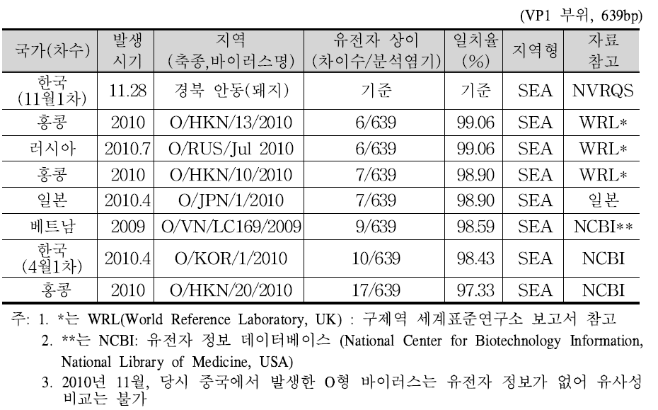 국내 발생 O형 바이러스(2010년11월 분리)와 동일 계통 바이러스의 비교