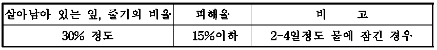 고구마 관수