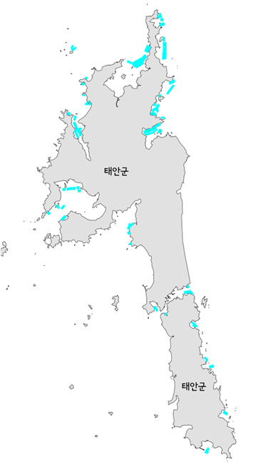 태안군 굴 주요 생산해역