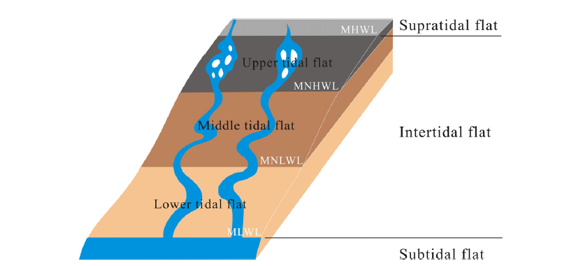 갯벌의 일반적 분류