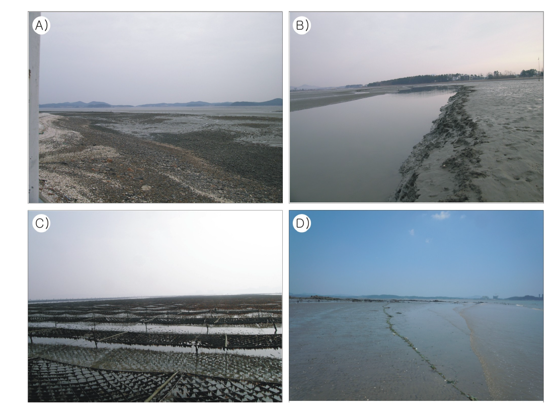 남면 갯벌 전경. A) 남면 갯벌 광역전경, B) 조류세곡, C) 간조선 주변 김양식장, D) 간조선 주변