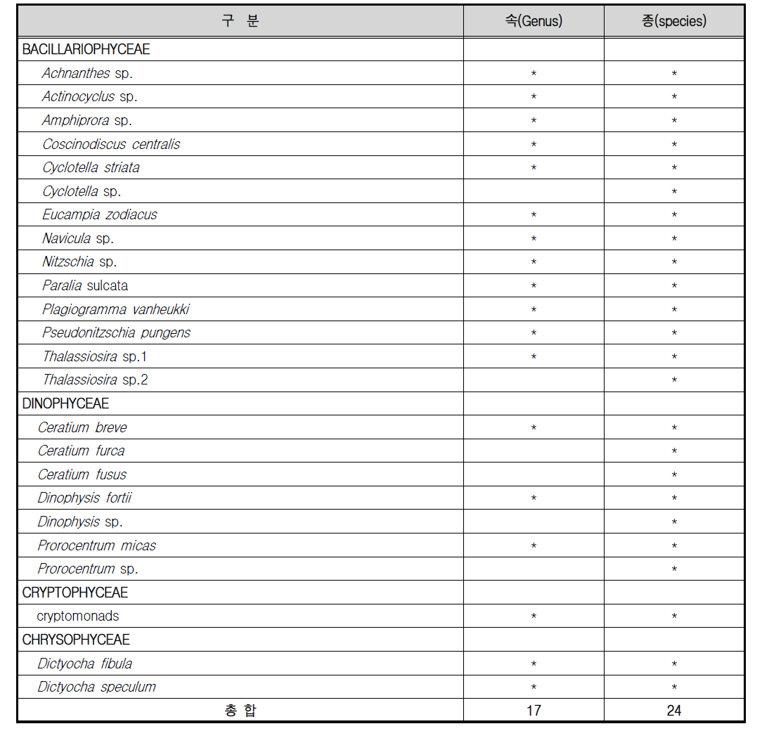 식물플랑크톤 총 출현종 목록