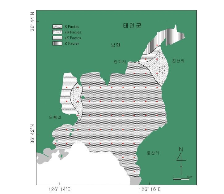 남면 갯벌 표층퇴적물의 표층퇴적상