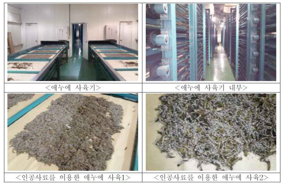 애누에 사육시설