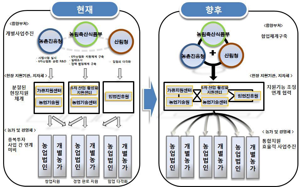 현장밀착형 지원체계 개선 방향