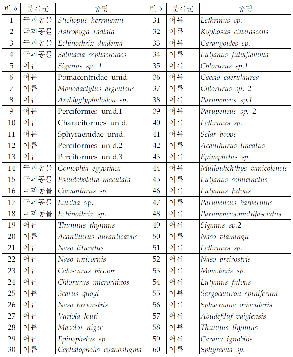 열기서열 분석 해양생물 종목록