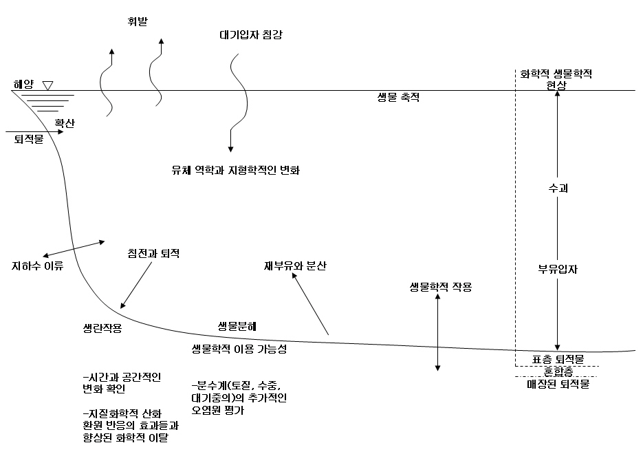 자연정화방법과 관련된 해양오염퇴적물 정화기작