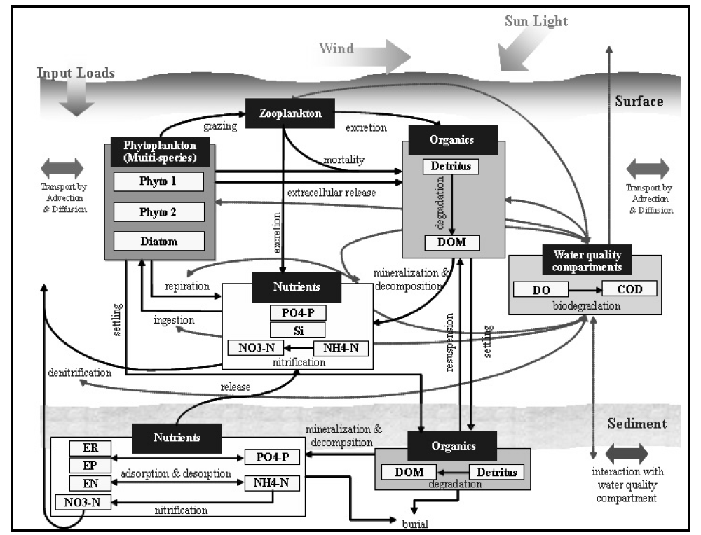 EM3 생태계 모델의 구조