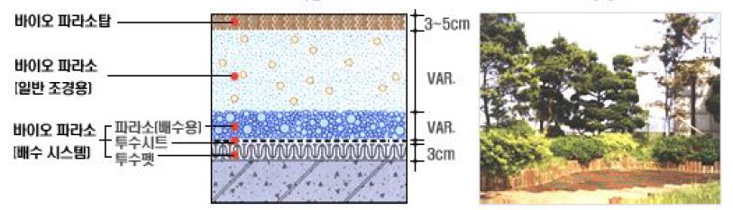바이오 파라소공법과 옥상녹화 조성 사례