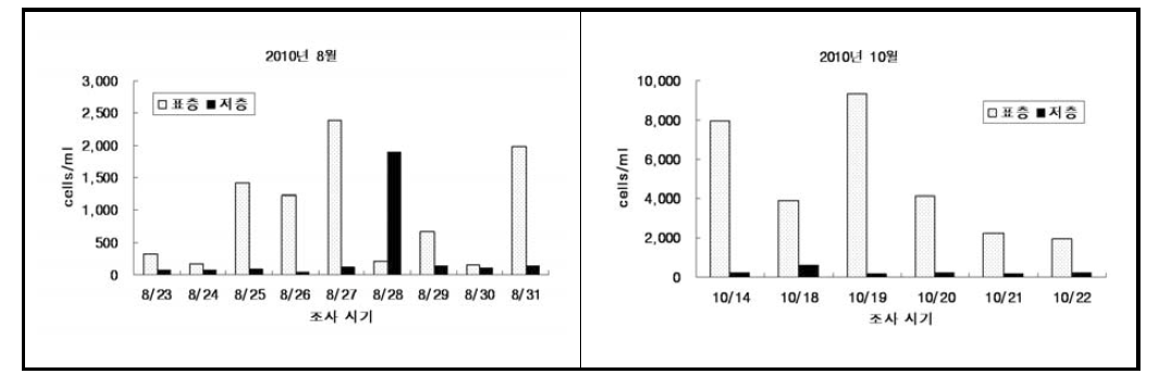 2010년 8월과 10월에 식물플랑크톤 현존량의 수층별 단주기 변화