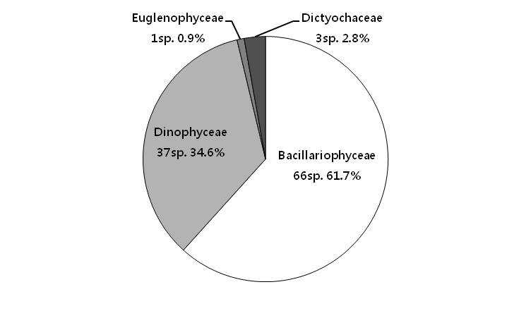 2011년 마산만에 출현한 주요 식물플랑크톤 분류군의 상대 조성비