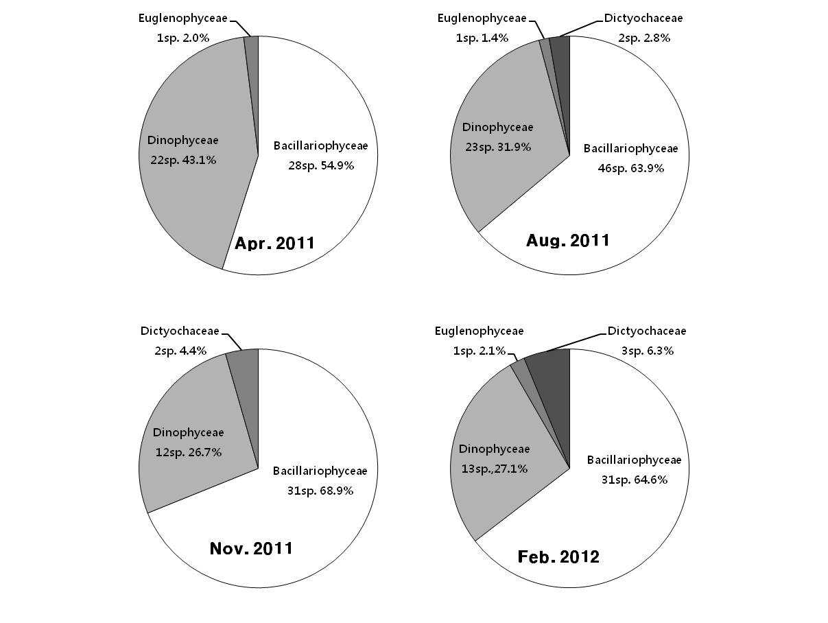 2011, 2012년 마산만에 출현한 주요 식물플랑크톤 분류군의 계절별 상대 조성비
