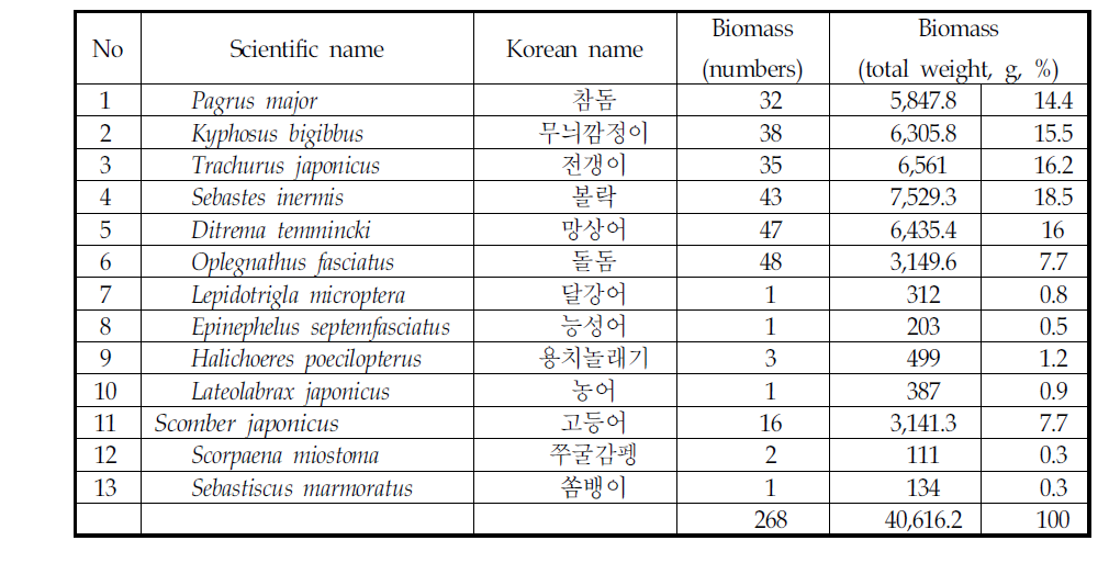 매물도 자망조사에서 확인된 어종(2011.11)