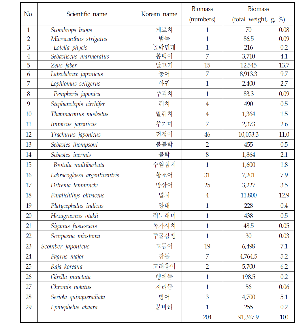 홍도 자망조사에서 확인된 어종(2011.11)