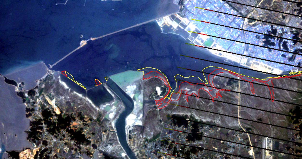 ER Mapper를 이용하여 추출된 시화호 수변부에 생성될 갯벌지역 해안선.