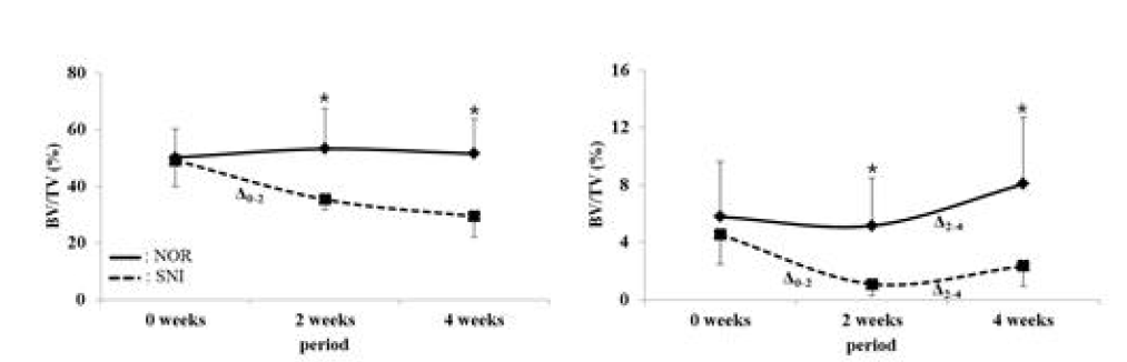 Longitudinal changes in BV/TV over time; (a) the forth lumbar vertebra, (b) tibia, *: SNI versus NOR (p <0.05), Δ0-2 : 0 weeks versus 2 weeks (p<0.05), Δ2-4 :2 weeks versus 4 weeks (p<0.05).