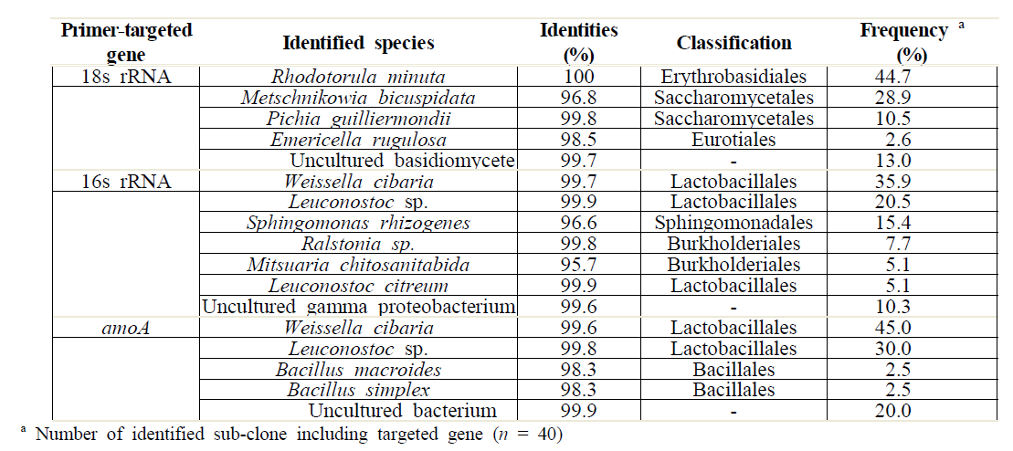 Identified species from compost soil based on primer-targeted gene sequence analysis.