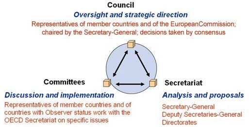 OECD 조직도