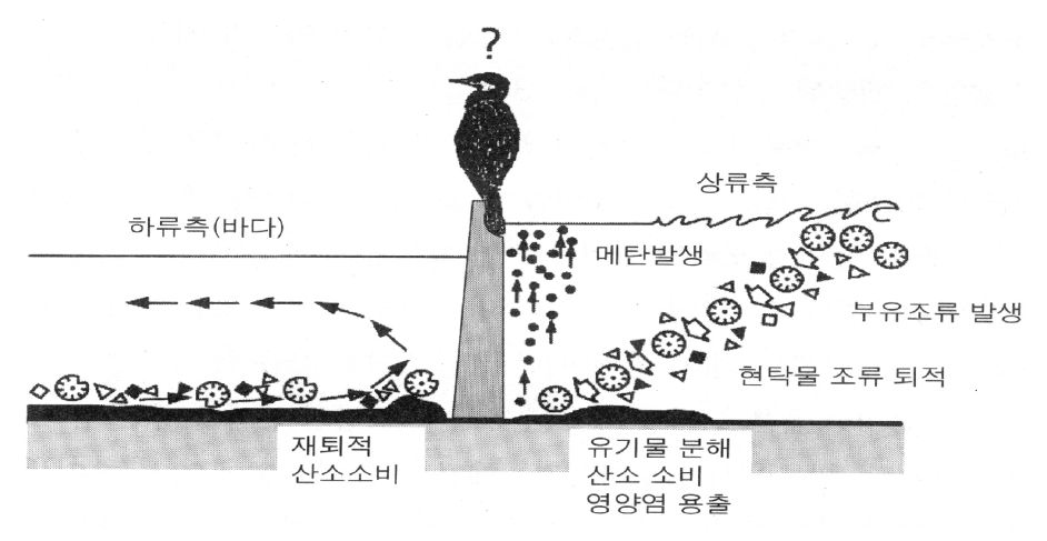 하굿둑 주변에서 발생하는 환경변화