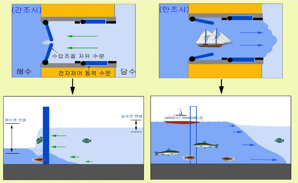 영산강의 부분 해수유통 구상(예시)