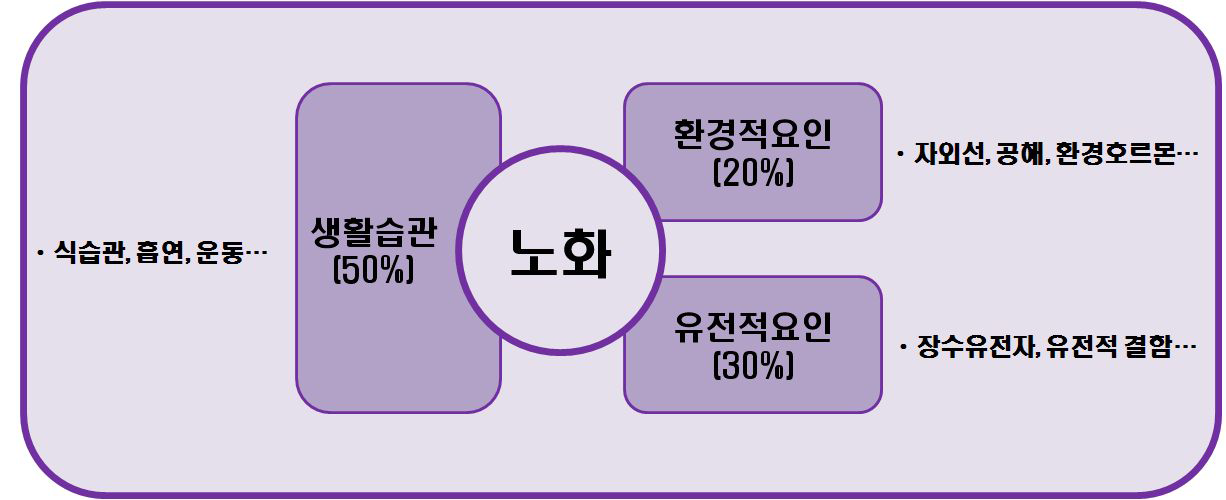 노화의 3대 요인