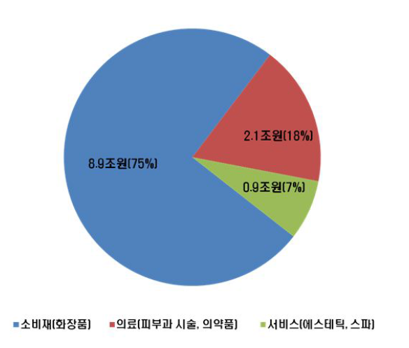 국내 항노화 시장규모