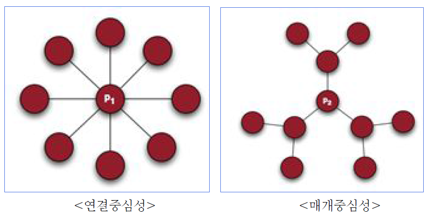 네트워크 분석의 지수 개념도