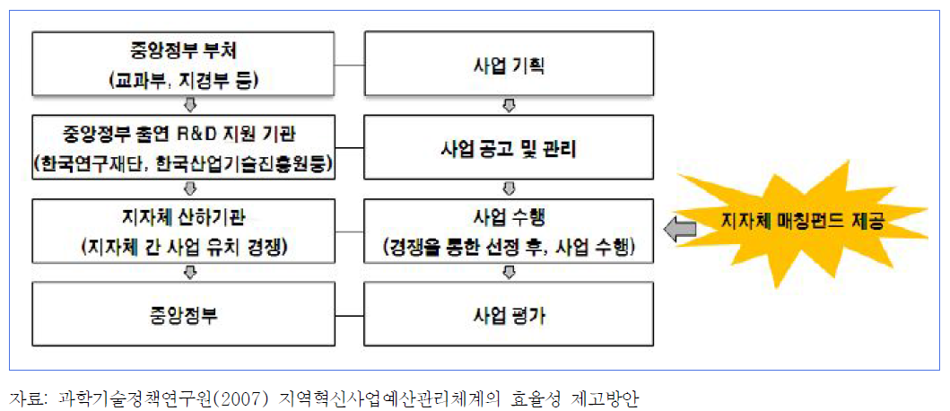 중앙정부 주도 R&D 사업의 추진체계 및 주체별 역할