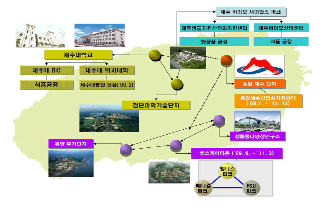 제주로 전략산업 육성 네트워크 체계