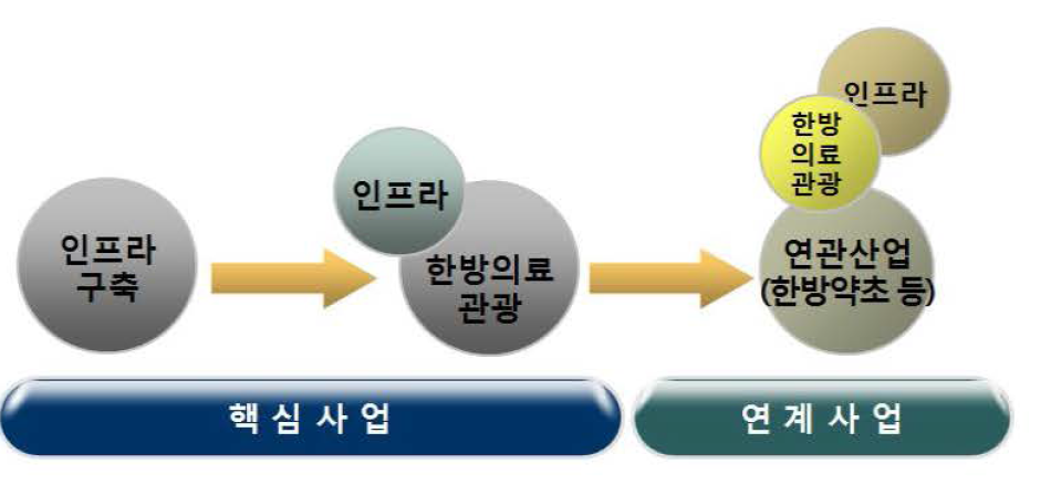 한방의료관광과 연계산업의 단계별 추진