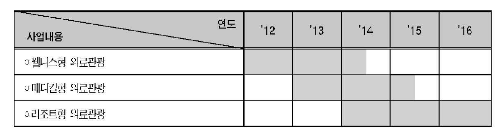 의료관광상품 개발전략 추진일정