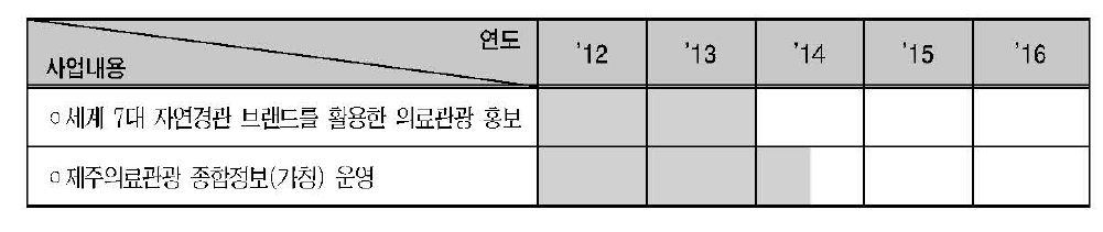 의료관광 마케팅 전략 추진일정