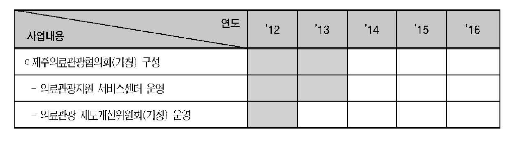 의료관광 법제도 개선전략의 추진일정