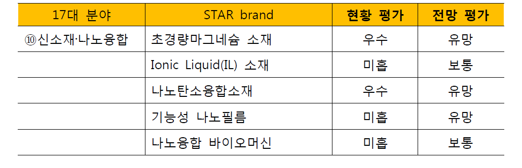 신소재·나노융합 star brand에서 국내산업 성장성 전망 평가