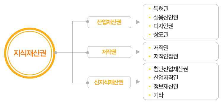 지식재산권의 현황