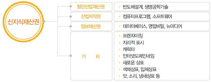 신지식재산권의 개념 및 법위