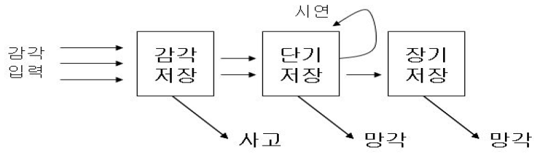 기억의 3단계 모델