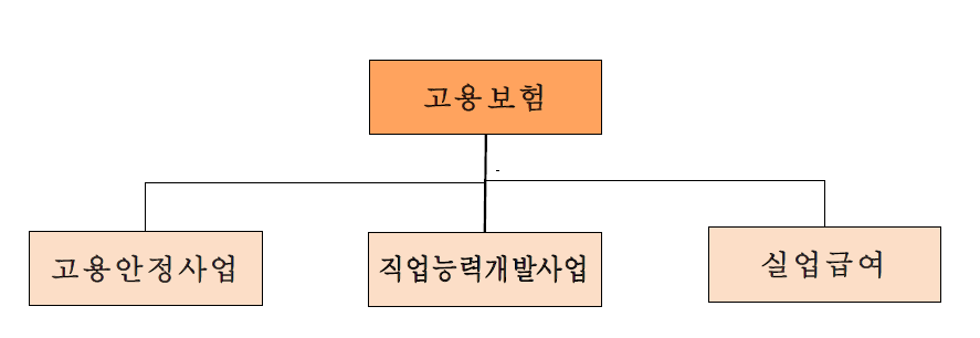 한국의 고용보험 구조:제도 도입 시