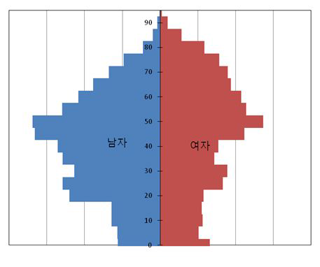 옹진군 인구 피라미드