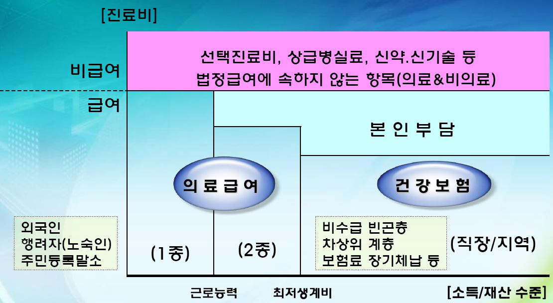 의료보장 사각지대의 발생 영역